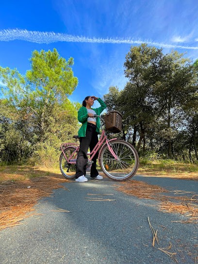 Beach Bikes - Grand-Village-Plage - Location De Vélo, Loueur de Vélos au Grand-Village-Plage