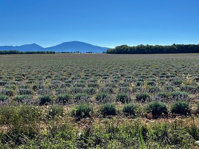 AIX BIKE PROVENCE, Loueur de Vélos à Aix-en-Provence