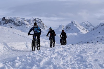 ParadiBike, Loueur de Vélos à La Plagne Tarentaise