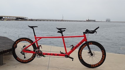 Alpinswheel, Atelier de Réparations Vélos au Touvet