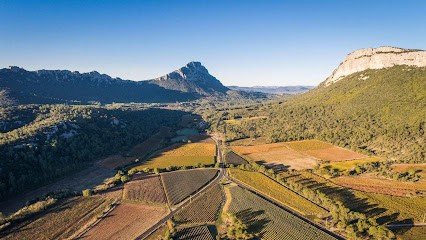 Electro Bike Discovery, Loueur de Vélos à Saint-Gély-du-Fesc