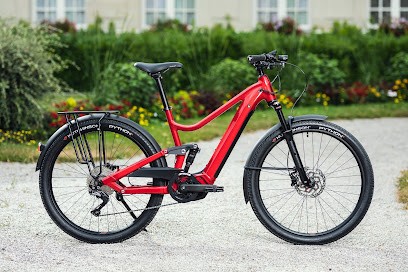 LOCEBIKE VOULAINES, Loueur de Vélos à Voulaines-les-Templiers