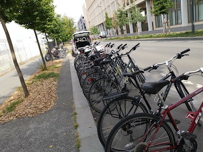 VELOGLOBE LOCATION VELO / FONTAINEBLEAU BIKE RENTAL, Loueur de Vélos à Oncy-sur-École