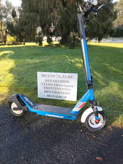 Représentant Les Vélos De La Marque Ovivo Réparation Trottinettes Et Velos Électriques ( Biclou.x.elec Atelier De Réparation De Vélos à Ychoux