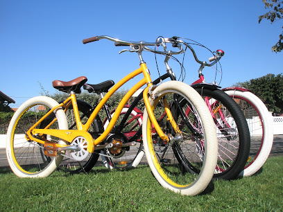 Location Velos Le Vivier Service De Location De Vélos à Biscarrosse