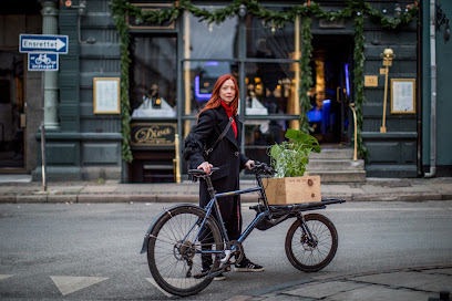 Kooglof Cycles Magasin De Vélos à Strasbourg