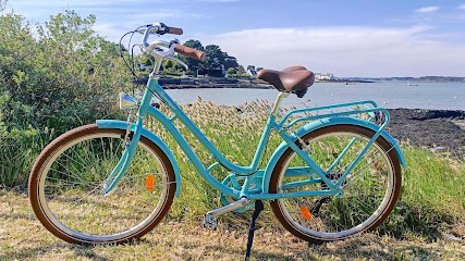 Locavelo/ Avelo Locmariaquer, Loueur de Vélos à Locmariaquer