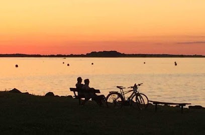 Rental Velo Der Lake, Loueur de Vélos à Giffaumont-Champaubert