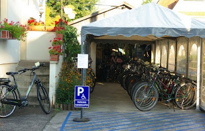 Workshop Cycles Boss, Magasin de Vélos à Geispolsheim