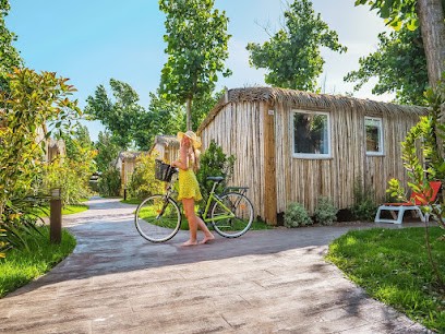 Thau Cycles, Loueur de Vélos à Marseillan