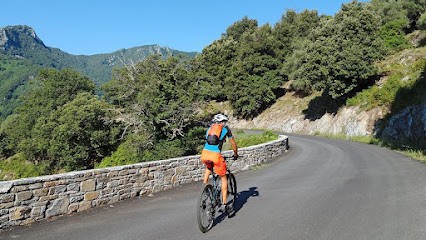 LUCKYLOC2A, Loueur de Vélos à Grosseto-Prugna