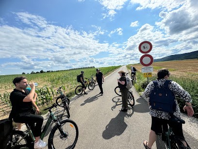 ADN-eBIKES, Loueur de Vélos à Surbourg