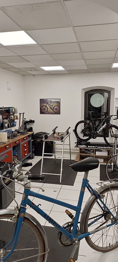 Bik'assist, Atelier De Réparation De Vélos à Saint-Étienne-de-Crossey