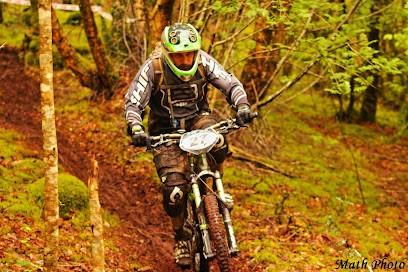 GREENWOODCYCLES, Atelier de Réparations Vélos à Lanester