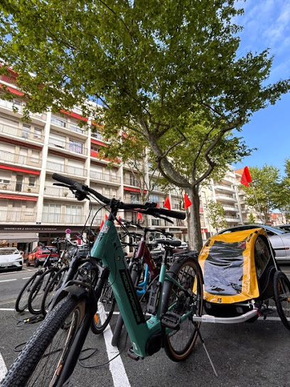 Vélos D'albret Location Arcachon Gare Service De Location De Vélos à Arcachon