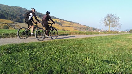 Alsa Cyclo Tours, Loueur de Vélos à Kaysersberg Vignoble