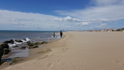 Cycles Rosalie VTT, Loueur de Vélos à Port-la-Nouvelle