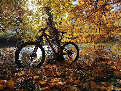 Jo Répar'Cycles, Atelier de Réparations Vélos à Hangenbieten