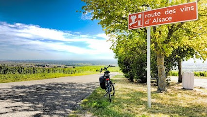 Alsa Cyclo Tours, Loueur de Vélos à Eguisheim
