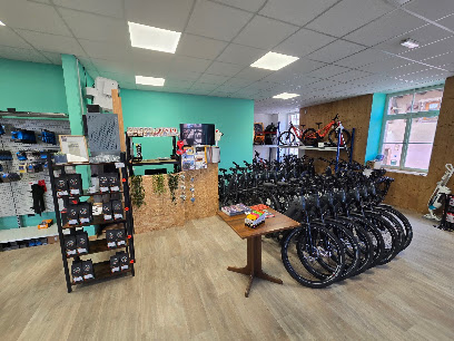 Bariga Bikes Magasin De Vélos à Bergheim