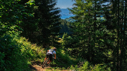 Atelier Braap, Atelier De Réparation De Vélos à Saint-Paul-en-Chablais