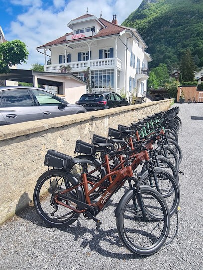 ROUTE 909 vente et location Petit Port, Loueur de Vélos à Annecy-le-Vieux