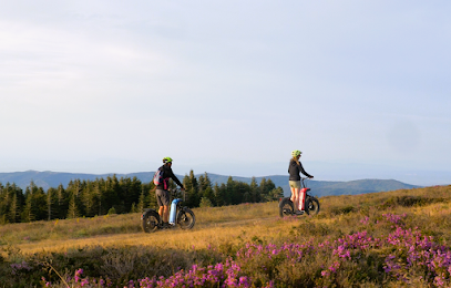 Trott'in Forest, Balade En Trottinette Electrique Tout Terrain En Occitanie, Service De Location De Vélos au Soulié