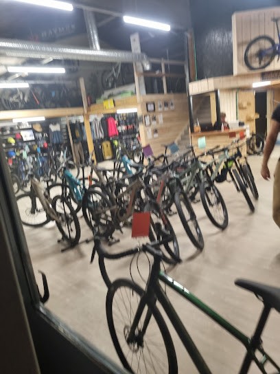 PILAT BIKE SERVICES, Magasin de Vélos à Genilac