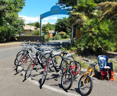 Location De Velo Bike Point Biscarrosse Service De Location De Vélos à Biscarrosse