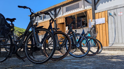 Naujac Cycles Location, Service De Location De Vélos à Naujac-sur-Mer