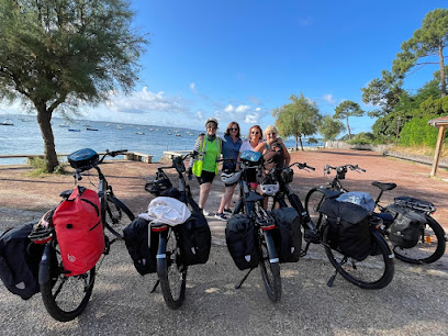 Velotino-Service De Location De Vélos En Courte Et Longue Durée Avec Livraison / Bike Rental Services In Bordeaux, Service De Location De Vélos à Talence