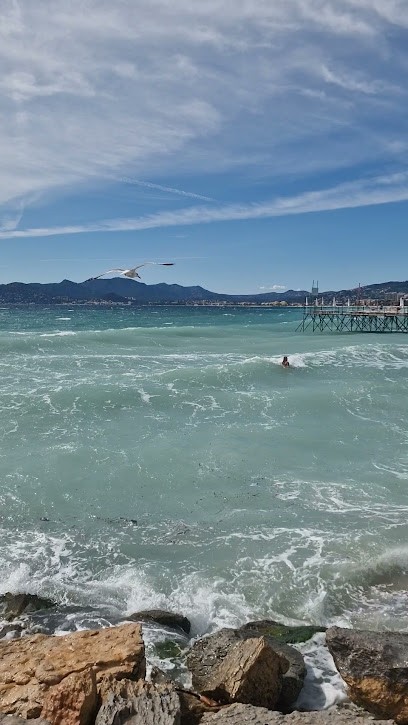 Cannes Bike, Loueur de Vélos à Cannes