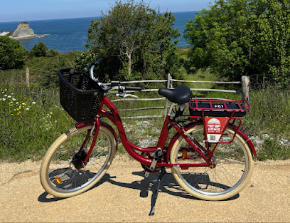 Homie Bike Location Vélo, Scooter Et Surf Service De Location De Vélos à Biarritz
