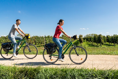 Les Vélos Verts - Orléans Service De Location De Vélos à Orléans