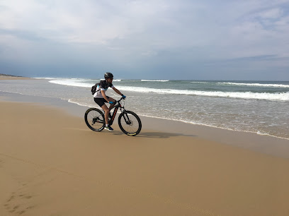 Fun Bike La Plage Service De Location De Vélos à Carcans