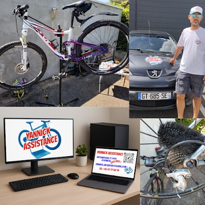 Yannick Assistance Informatique Et Cycle À Domicile Atelier De Réparation De Vélos à Obernai