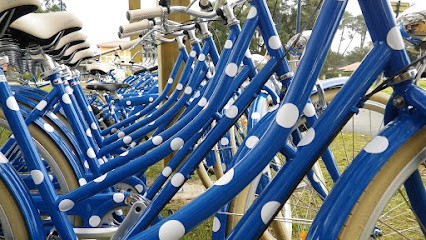 Les Vélos De L'Ouest, Loueur de Vélos à Vendays-Montalivet