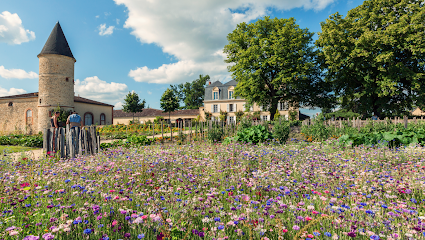 La Bulle Verte - Château Guiraud Service De Location De Vélos à Sauternes