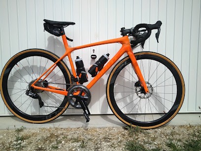 ATELIER CYCLES MOBILE RAPHAEL, Atelier de Réparations Vélos aux Métairies