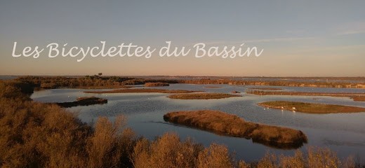 Les bicyclettes du Bassin : Location de vélos, Loueur de Vélos au Teich