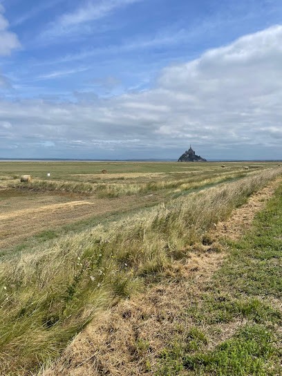 CANCAVELO, Location De Fat Bike, Vélos VTC, VAE, Scooters, Gyropodes, Trottinettes électriques, Loueur de Vélos à Cancale
