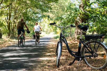 Les Vélos Des Sablons, Loueur de Vélos à Portiragnes