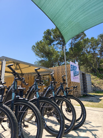 Easy Vélo Carcassonne, Service De Location De Vélos à Villegly
