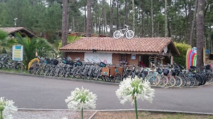 Bike Rental / Surf Oxygen Cycles, Magasin de Vélos à Vielle-Saint-Girons