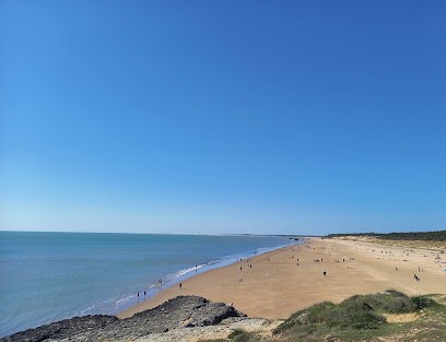 Le Vélocipède, Loueur de Vélos à Saint-Palais-sur-Mer