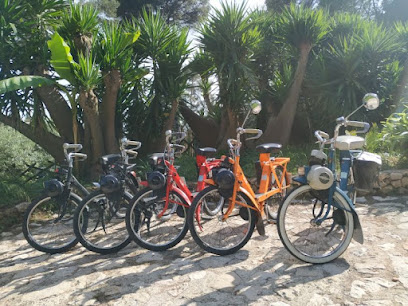 Escapade En Solex Chez Vélomoteur Trip Service De Location De Vélos à Saint-Paul-de-Vence