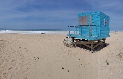 Multi-Bikes, Loueur de Vélos à Vendays-Montalivet