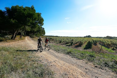 Languedoc ATV Evasion, Loueur de Vélos à Narbonne