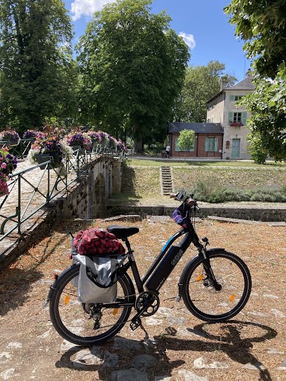 Roul'Easy : Location De Vélos à La Rochelle, Loueur de Vélos à Puilboreau