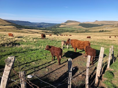 E-vtt Auvergne Location : Location Vélo électrique Tout Terrain, Loueur de Vélos à Mauzun